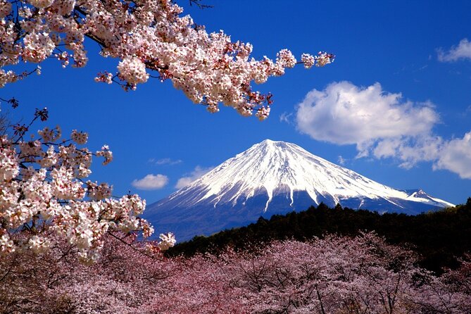 Virtual Tour to Discover Mount Fuji - Virtual Tour Options