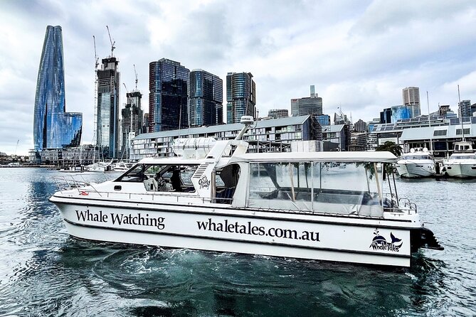 Whale Watching Boat Trip in Sydney - Meeting Point and End Point