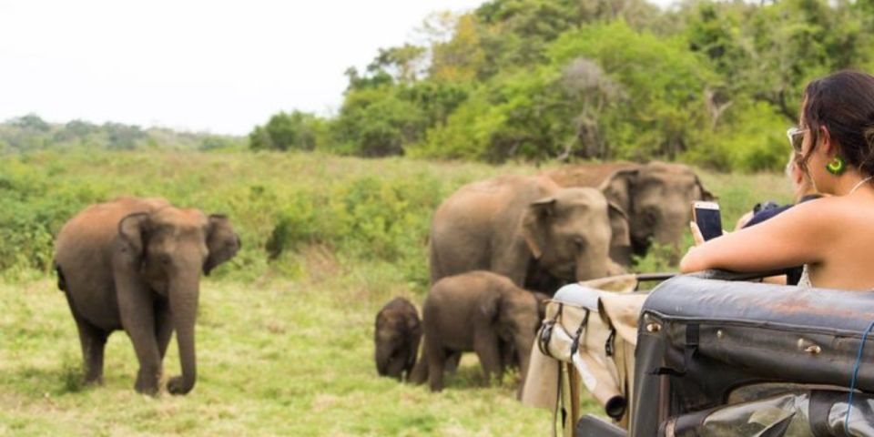 Wilpattu Wildlife Adventure:Day Safari With Picnic Meals - Booking and Duration