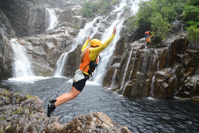 World Heritage Rainforest Canyoning by Cairns Waterfalls Tours - Activity Overview