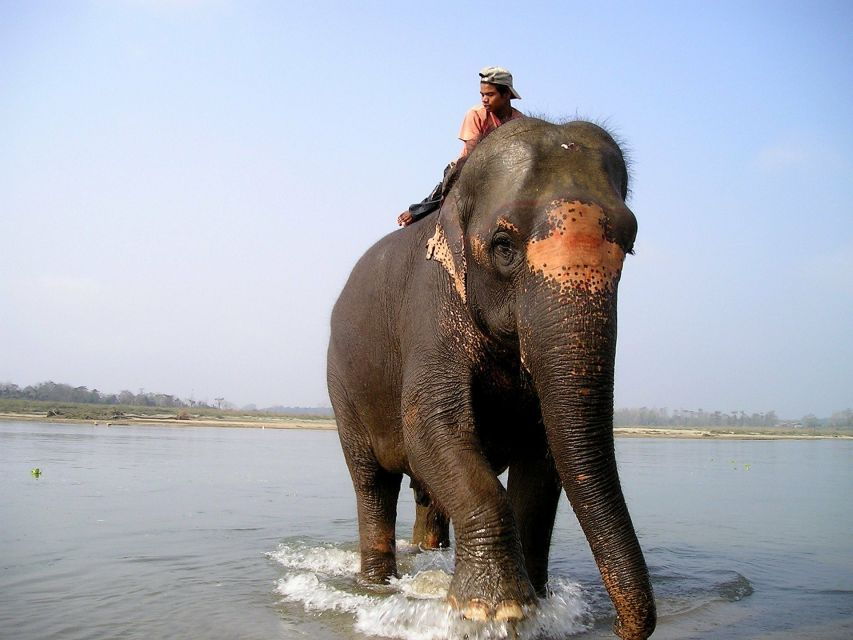 2 Night 3 Days Chitwan Jungle Safari Tour (Full Board) - Good To Know