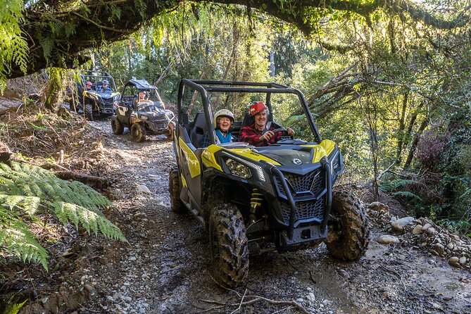 1 Hour Enchanted Forest Track – BUGGIES