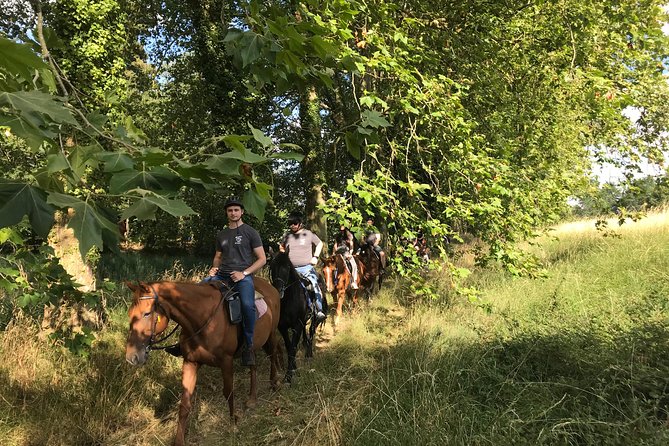 1-Hour Tourist Walk With Guide
