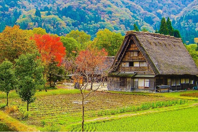【Private Tour】Shirakawa-Go & Takayama 1-Day Tour From Nagoya