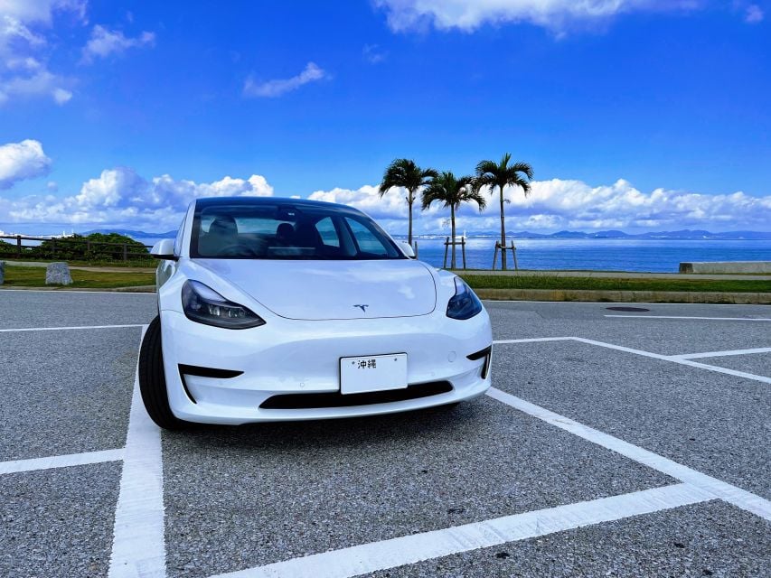 Okinawa Car Rental With Tesla - Activity Details
