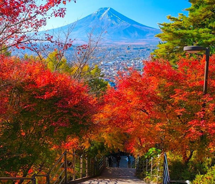 2-Days Private Tour Tokyo MT Fuji and Hakone With Guide - Good To Know
