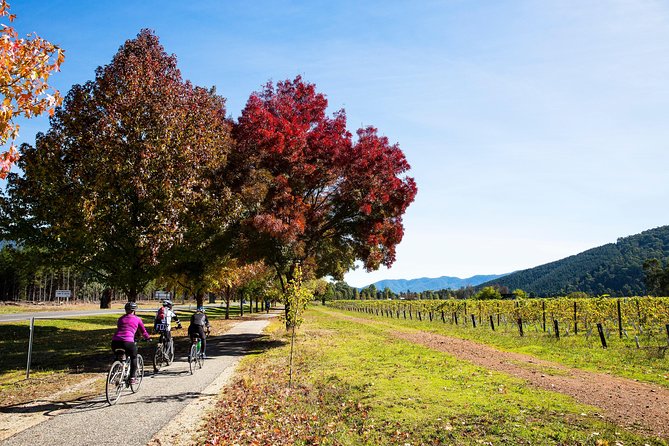 2-Night Murray to Mountain Trail Bike Tour From Beechworth - Good To Know