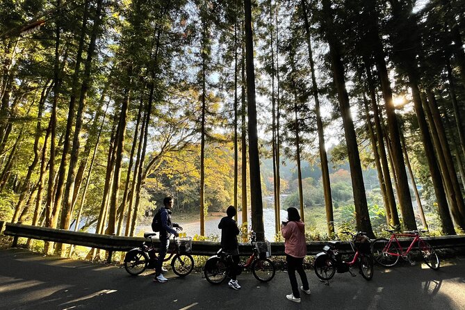 １Day Tokyo Backcountry Okutama With E-Bike - Meeting and Pickup