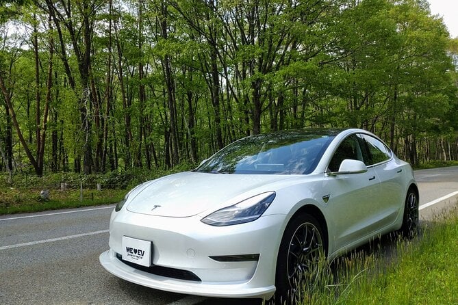 Go Anywhere With a Tesla Rental Car (Free Plan) - Features and Technology of Tesla Cars