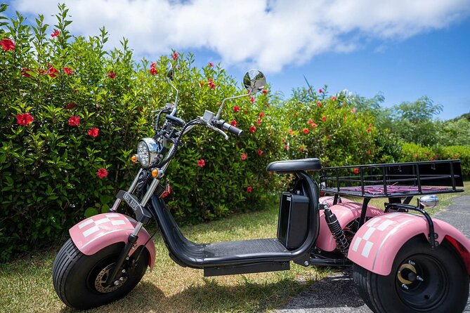 2h Electric Trike Rental in Okinawa Ishigaki