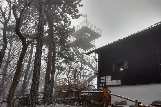 3-Hour Private Hiking Tour Over Parapluie Mountain With a View of Vienna - Good To Know
