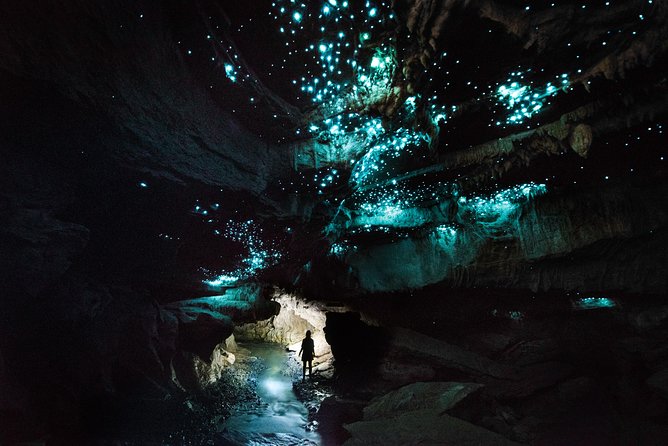 3-Hour Private Photography Tour in Waitomo Caves - Good To Know