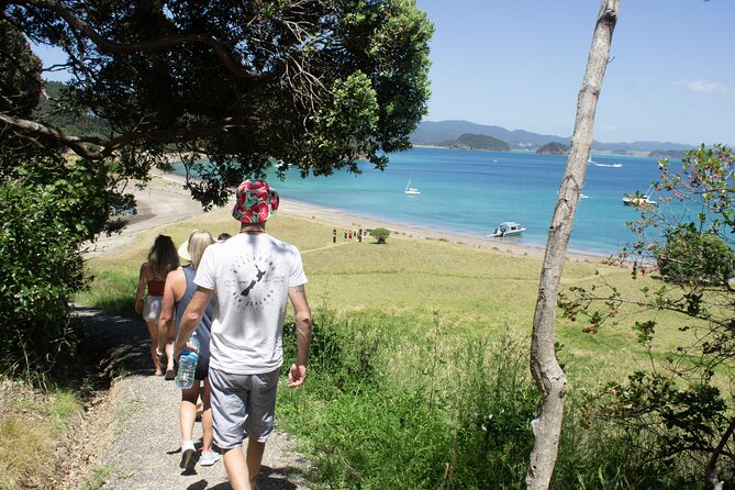 3 Hours // Hole in the Rock Cruise & Bay of Islands Tour