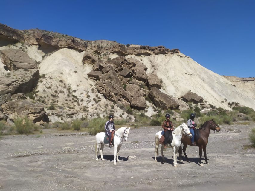 Almeria: Horse Riding Tour Through the Tabernas Desert - Full Description