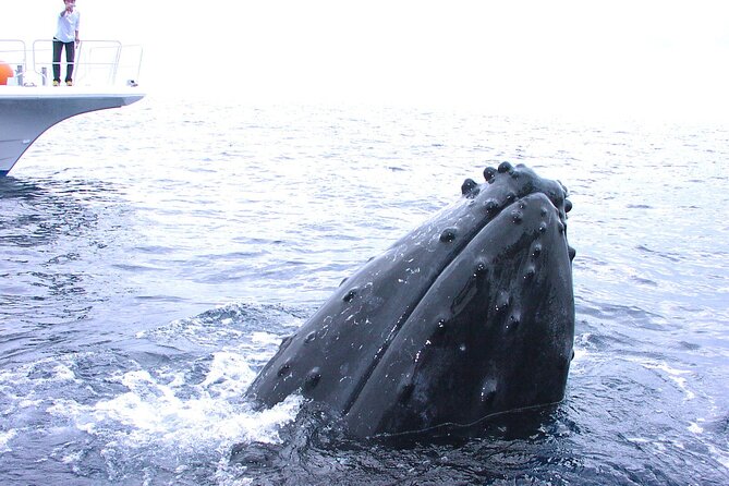 Full Day Guided Boat 2diving in Kerama Islands（License Required） - Additional Information