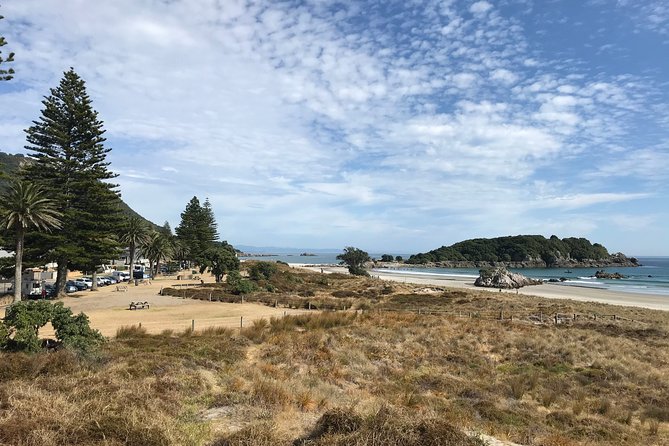 3hr Tauranga Sun-downer History Tour COMPLIMENTARY Wine or Beer