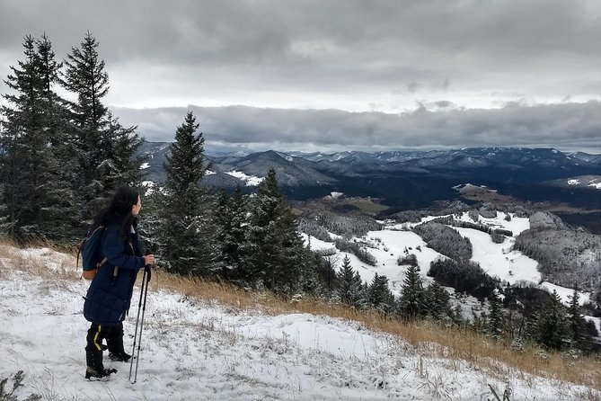 4-Hour Private Alpine Great George at High Wall Mountain From Vienna - Good To Know