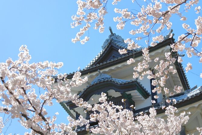 4 Hour Unique Kanazawa Cherry Blossom Sakura Private Experience