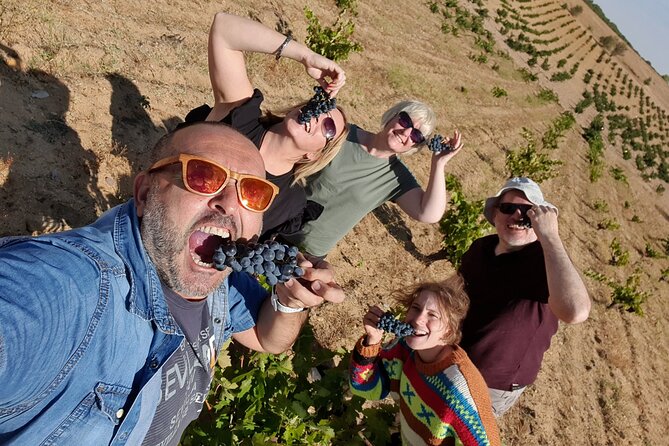 4 Wineries, Comprehensive Ribera Del Duero Tour, Lunch Included. - Good To Know