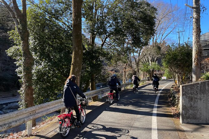 １Day Tokyo Backcountry Okutama With E-Bike - Common Questions