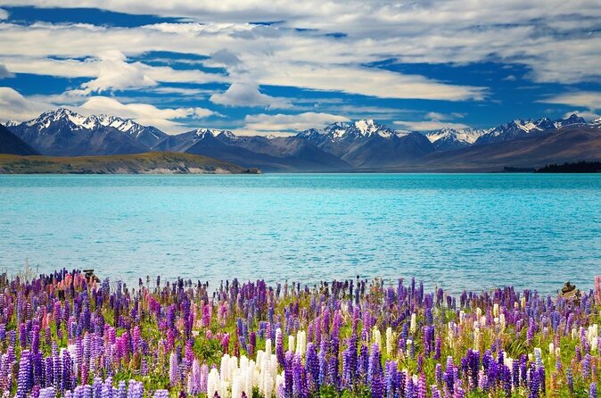 Mt Cook Full Day Tour via Tekapo From Christchurch (Small Group)