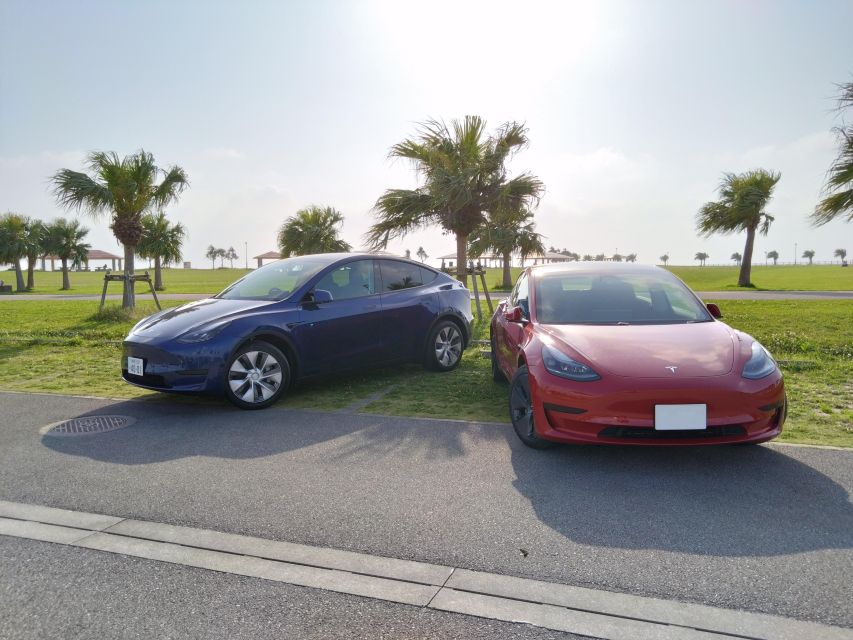 Okinawa Car Rental With Tesla - Rental Car Highlights