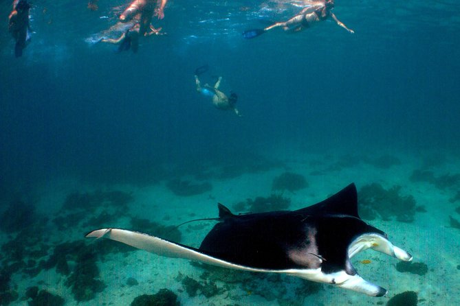 5 Night Ningaloo Reef Ningaloo Escape From Coral Bay - Good To Know
