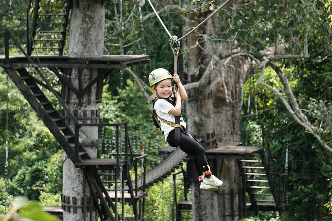 Angkor Wat Park Zip Line Adventure in Siem Reap - Zipline Experience