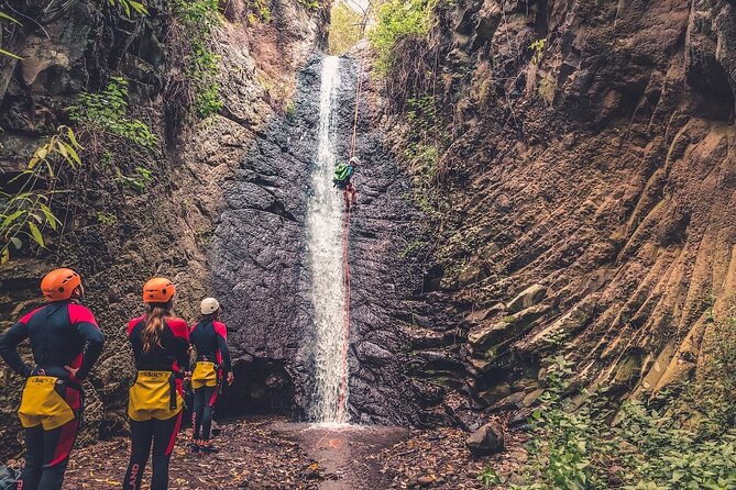 Canyoning With Waterfalls in the Rainforest - Small Groups ツ - Reviews and Recommendations