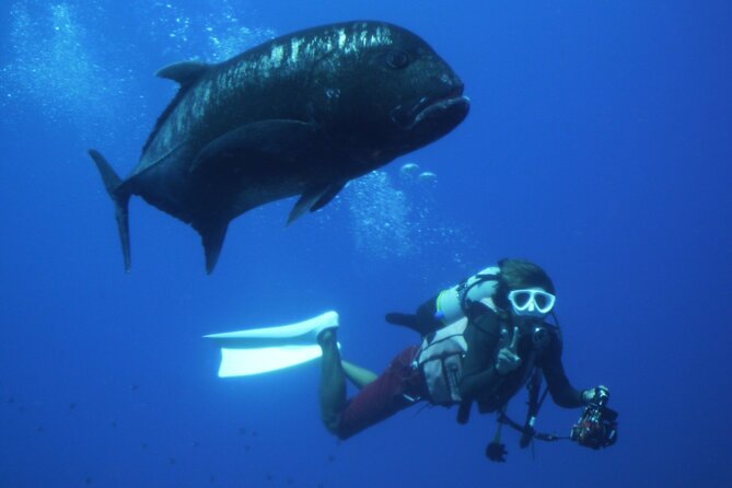 Full Day Guided Boat 2diving in Kerama Islands（License Required） - Directions