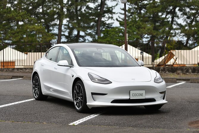 Go Anywhere With a Tesla Rental Car (Free Plan) - Exploring With a Tesla Rental