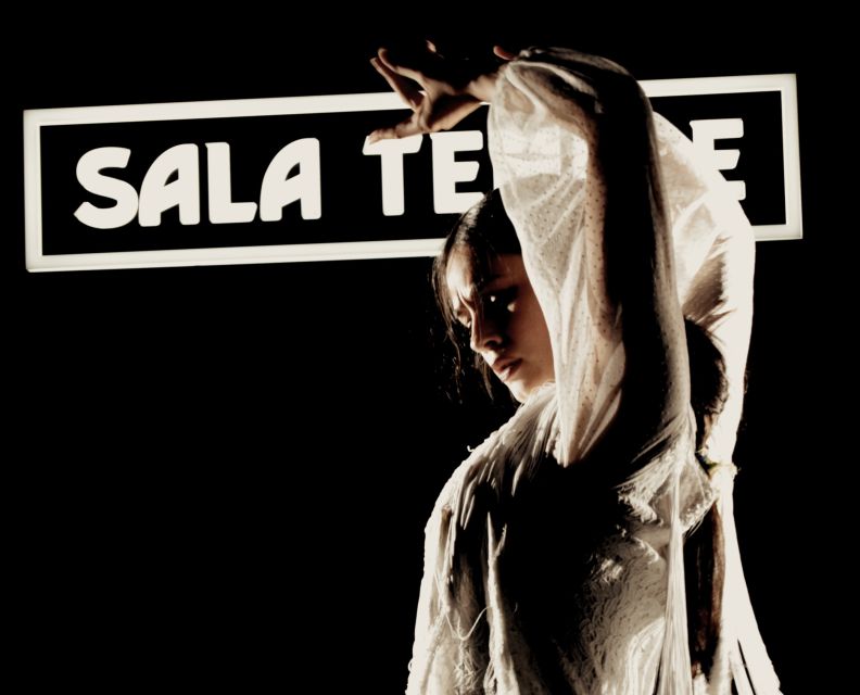 Madrid: Flamenco Show at Tablao Sala Temple With Drink - Additional Information