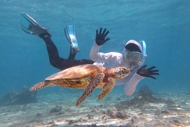 Miyakojima Snorkel] Private Tour From 2 People Lets Look for Sea Turtles! Snorkel Tour That Can Be