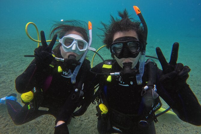 6-Hour Private Diving Course With 2-Dives