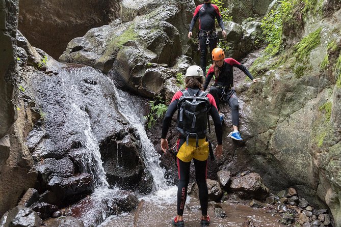 Canyoning With Waterfalls in the Rainforest - Small Groups ツ - Common Questions