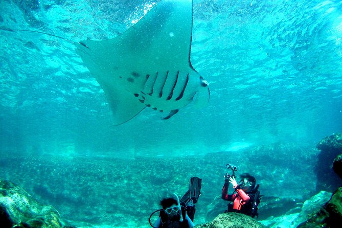 Full Day Guided Boat 2diving in Kerama Islands（License Required） - The Sum Up