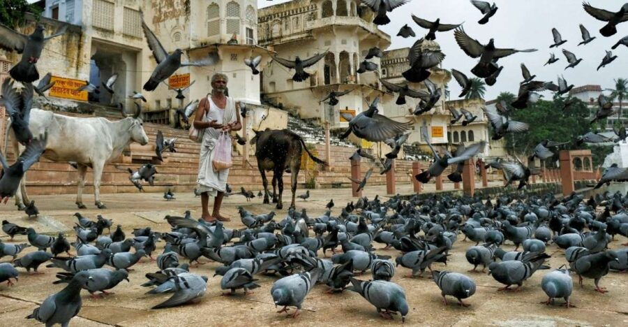Visit Pushkar From Jaipur With Jodhpur Drop - Good To Know