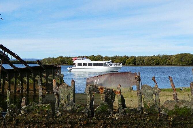 90 Minute Port River Dolphin & Ships Graveyard Cruise - Good To Know
