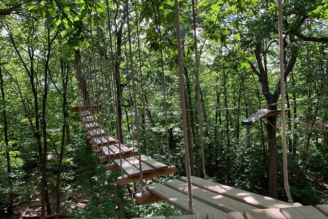 Accrobranches Course in the Middle of the Forest in Saint-Germain-En-Laye - Good To Know