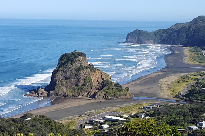 Afternoon Piha Beach and Rainforest Tour From Auckland