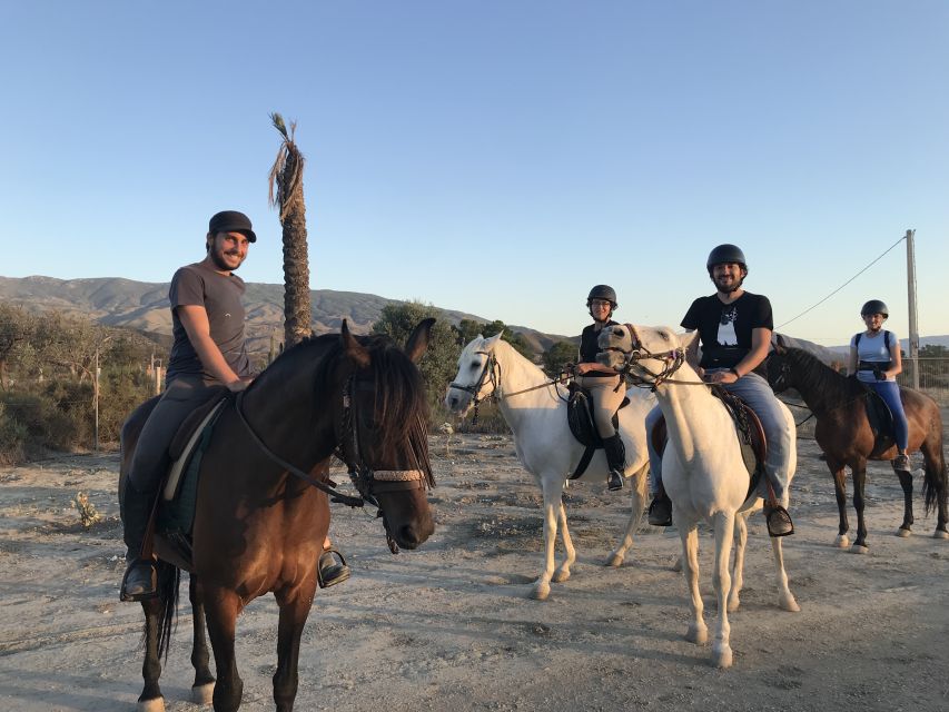Almeria: Horse Riding Tour Through the Tabernas Desert - Good To Know