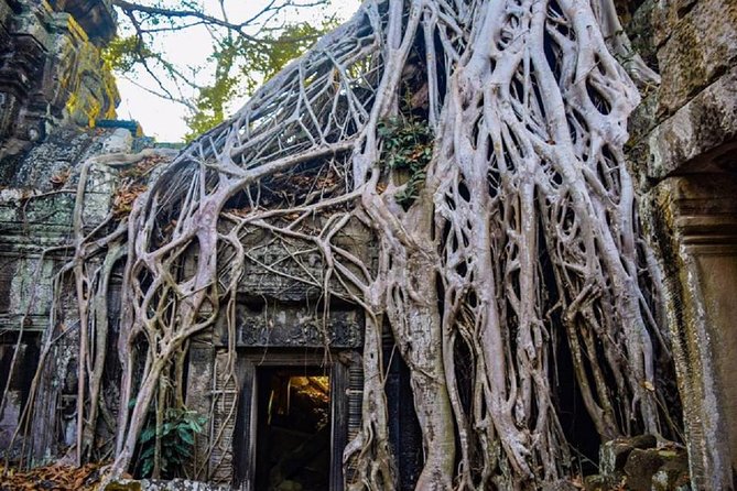 Angkor Wat 1Day Tour With Sunrise