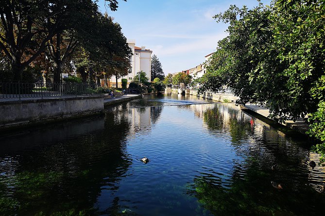 9 Best Tours In Arles