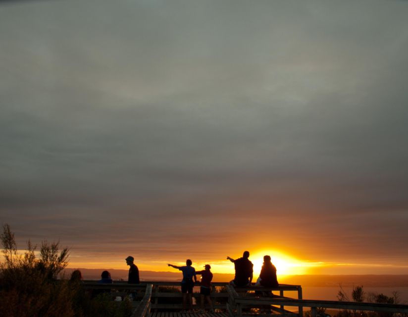 Auckland: Sunset & Night Sea Kayak Tour to Rangitoto Island - Good To Know