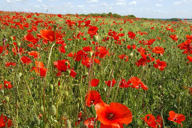 Australian and New Zealand Battlefield Day Tour in the Somme From Lille or Arras