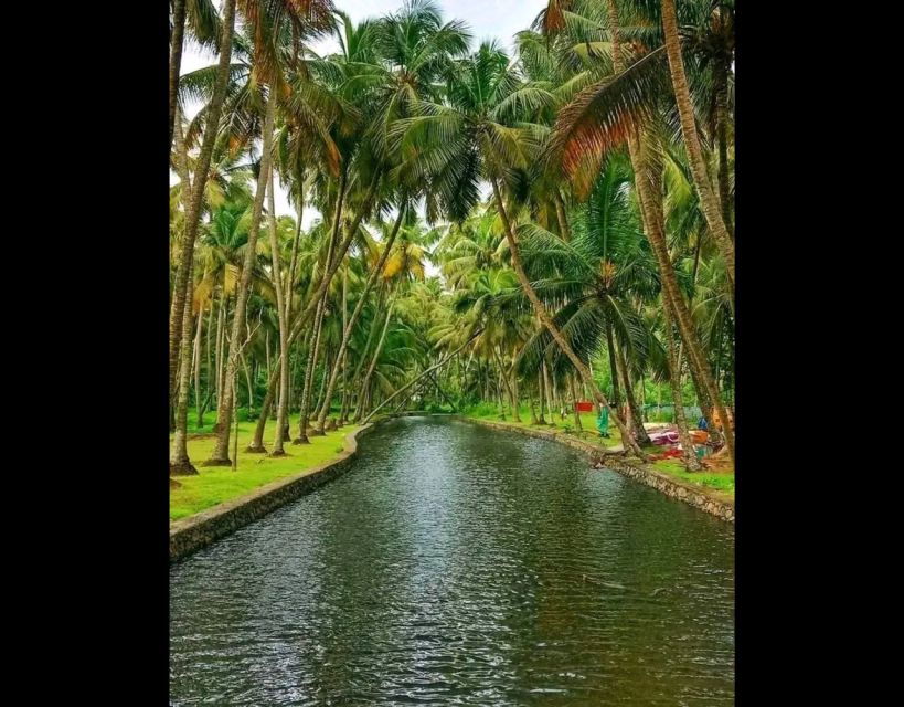 Backwater Cruise, Cloth Weaving, Coir Spinning, Kerala Lunch - Good To Know