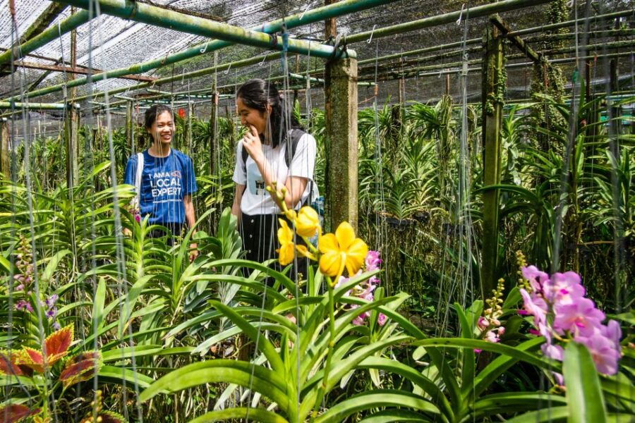 Bangkok Floating Market & Boat Ride to an Orchid Farm - Good To Know
