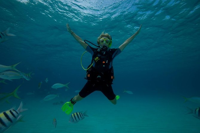 Beginners Scuba Diving Experience in Gran Canaria