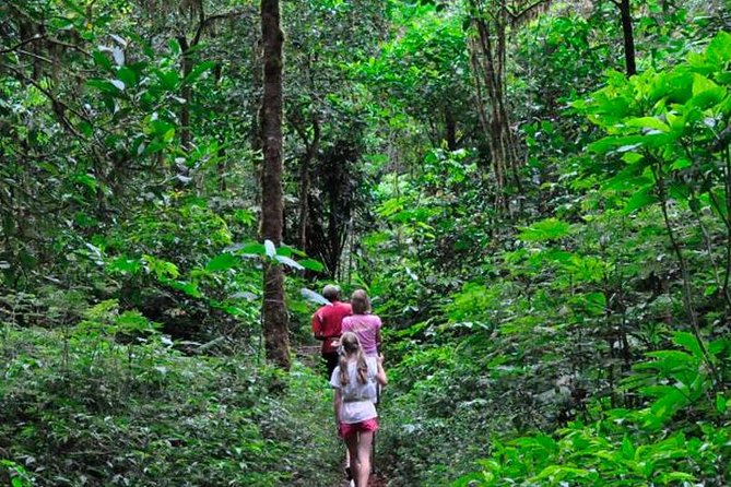 Bentota Private Sinharaja All-Inclusive Tour