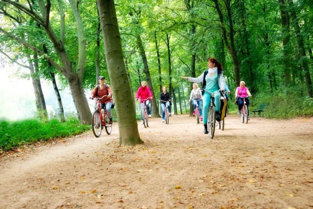 Berlin's Best: Guided Bike Tour